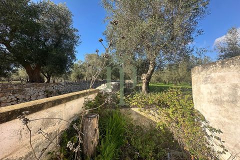 Masia a Ostuni, Brindisi, Ostuni - € 75.000 | Ref: Casolare Vert - foto 9